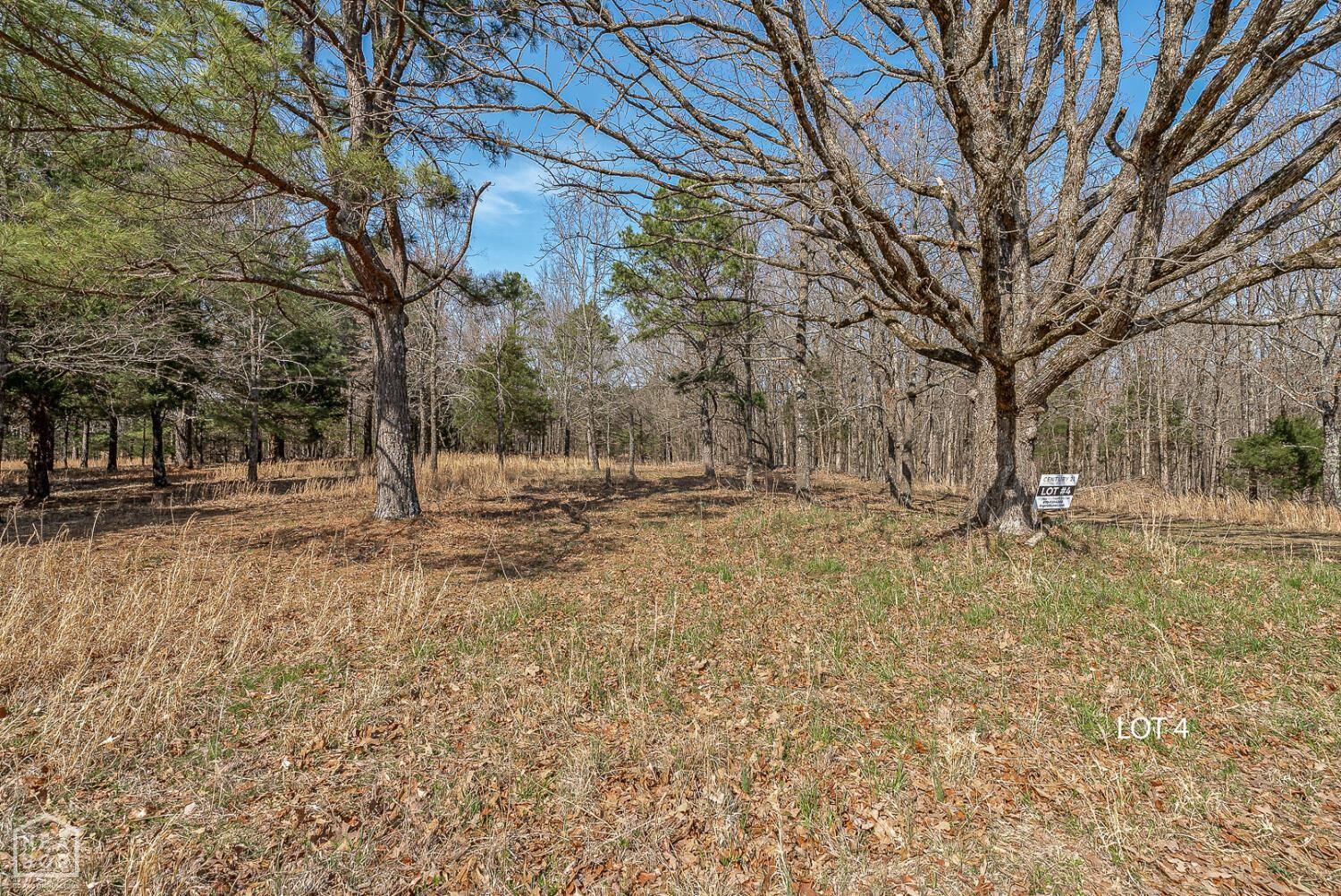 Property Photo:  4 Highway 351  AR 72405 