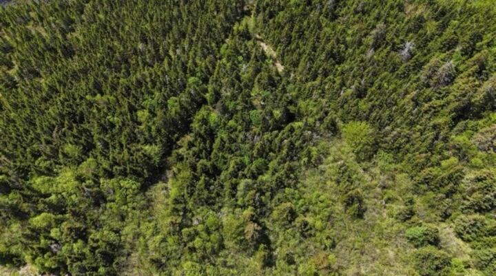 Property Photo:  344 Highway  NS B0E 1V0 