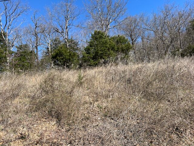 Property Photo: 225 Stateline Drive AR 72631