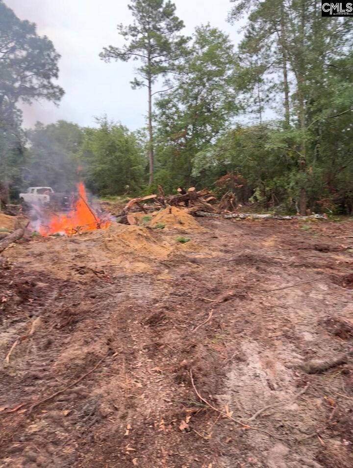 Property Photo: Tbd Pennington SC 29053