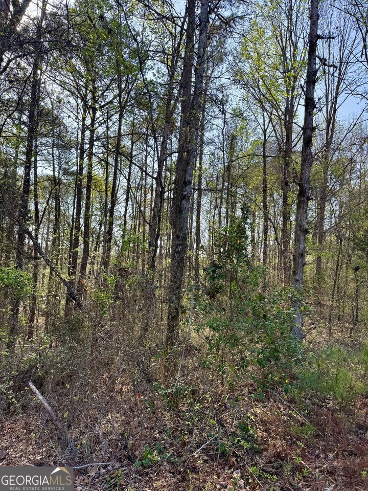 Property Photo:  0 Leisure Circle  GA 31822 