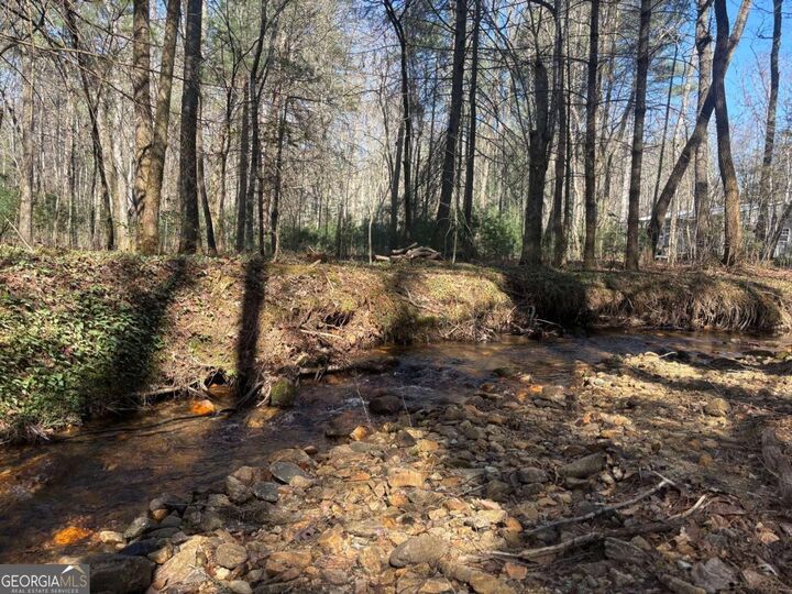Property Photo:  127 Black Forest Lane 2,3  GA 30512 