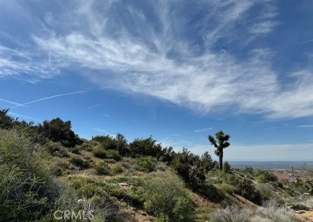 Property Photo: 0 Snow Valley Rd. CA 92372