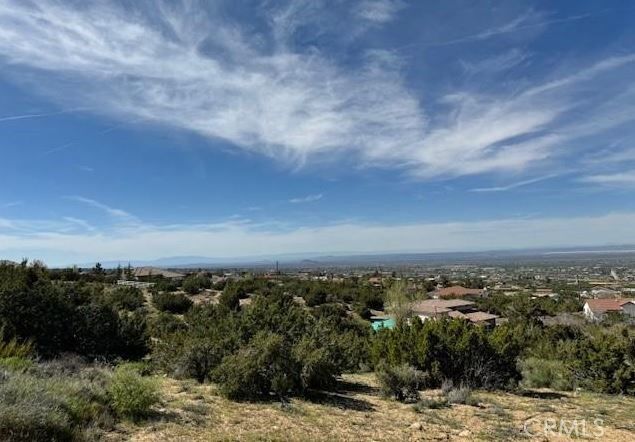 Property Photo: 0 Snow Valley Rd. CA 92372