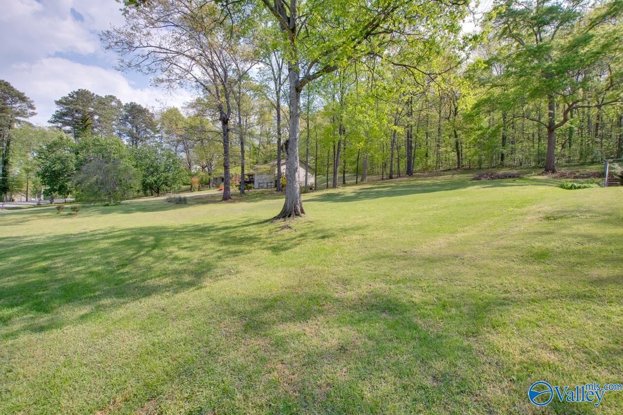 Property Photo:  .47 Acres Willow Beach Road  AL 35976 