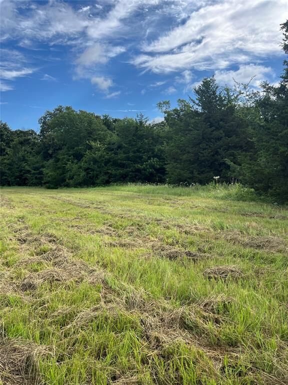 Property Photo:  Tbd County Road 4574  TX 75482 