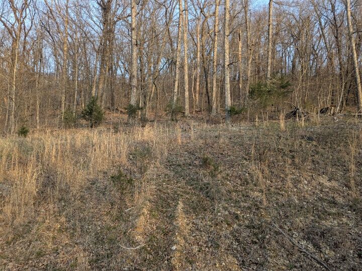 Property Photo: Tbd Sunrise Avenue AR 72631