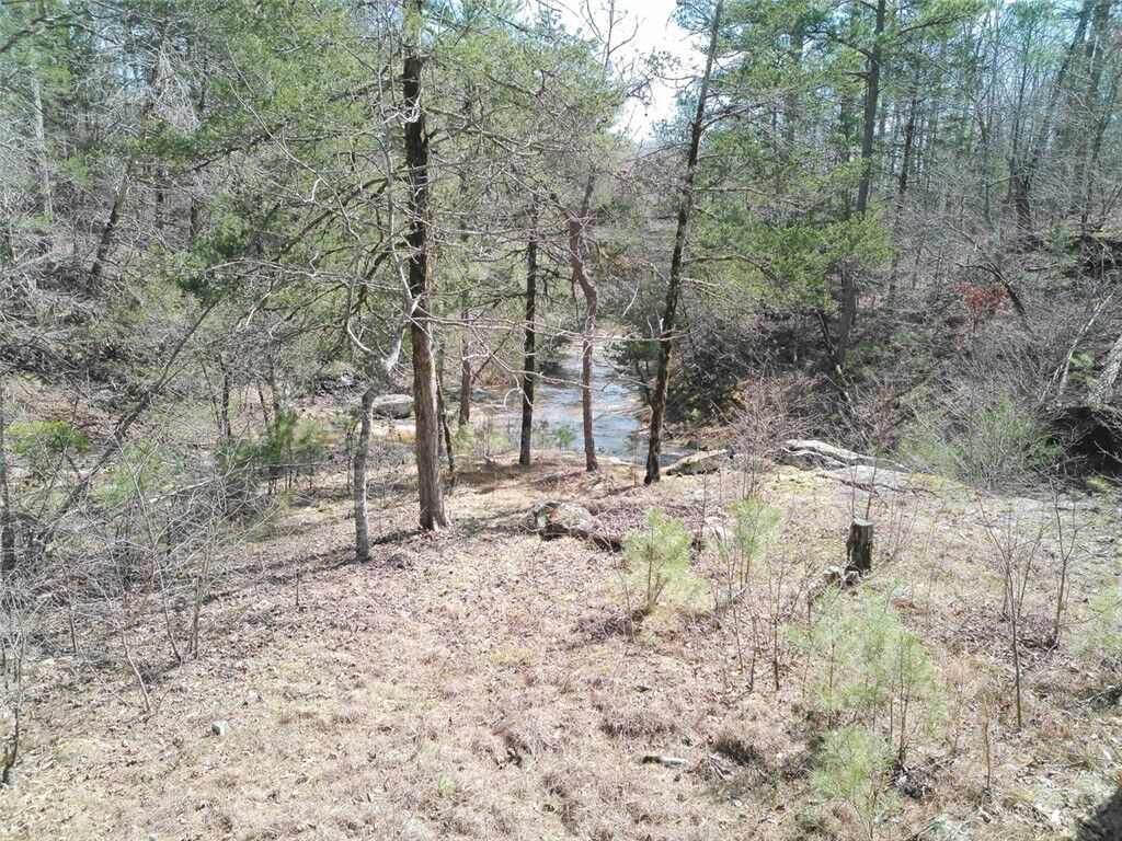 Property Photo: 4.8 Acres Hwy 21 AR 72854