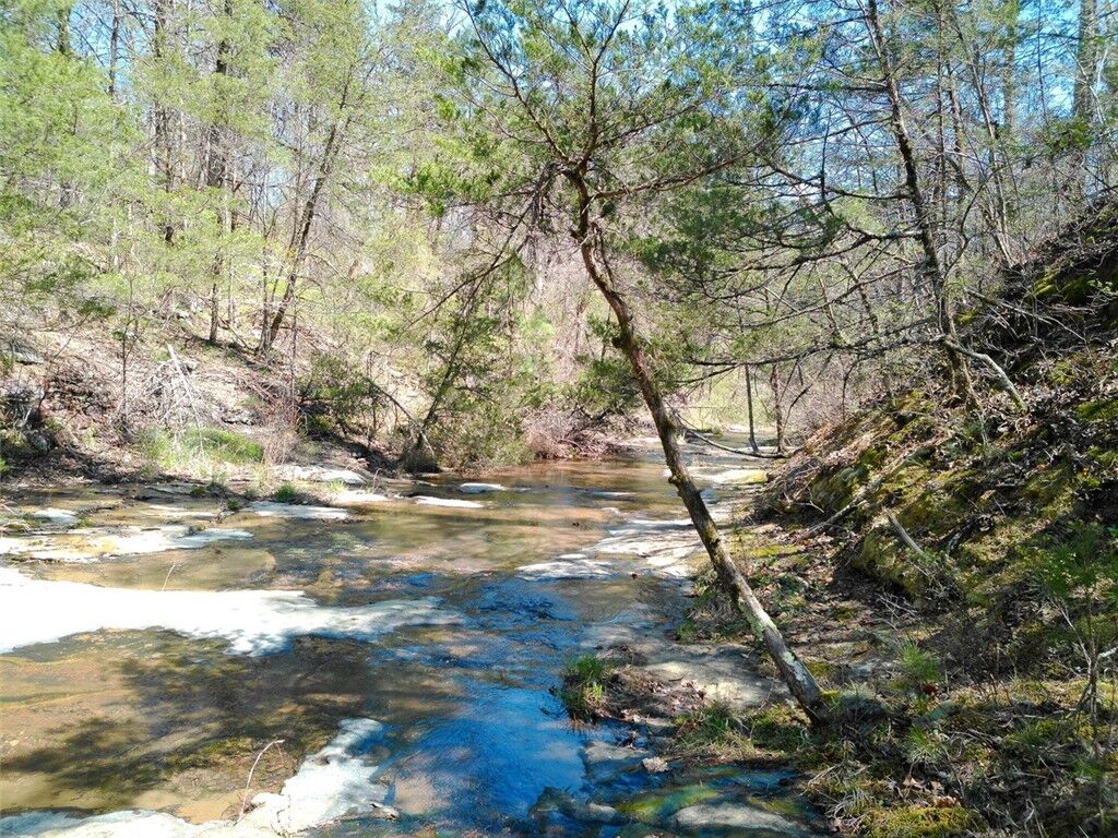 Property Photo: 4.8 Acres Hwy 21 AR 72854
