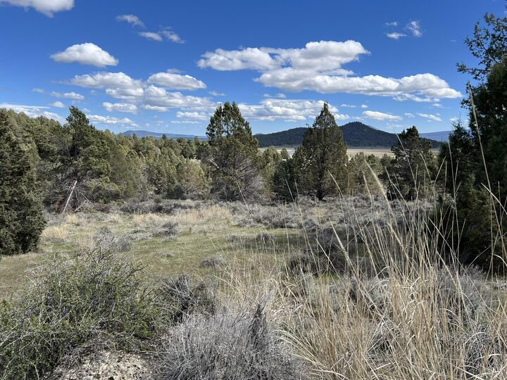 Property Photo:  Shasta Street 35 &Amp 36 &Amp 38  OR 97639 