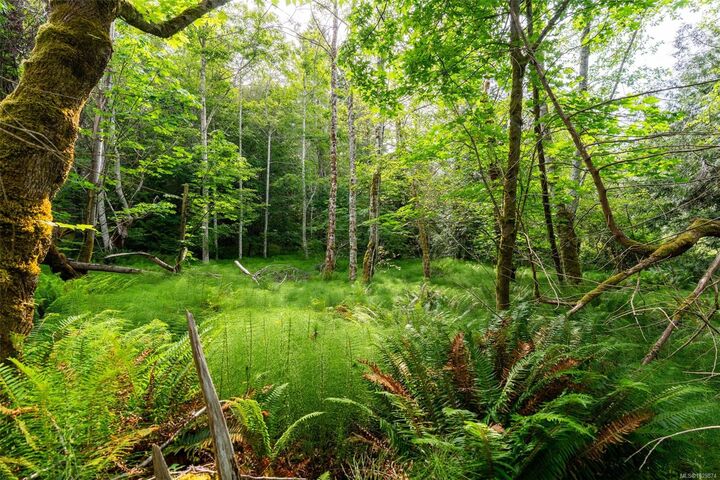 Lot 3 - 384 Seaspray Dr — photo 1