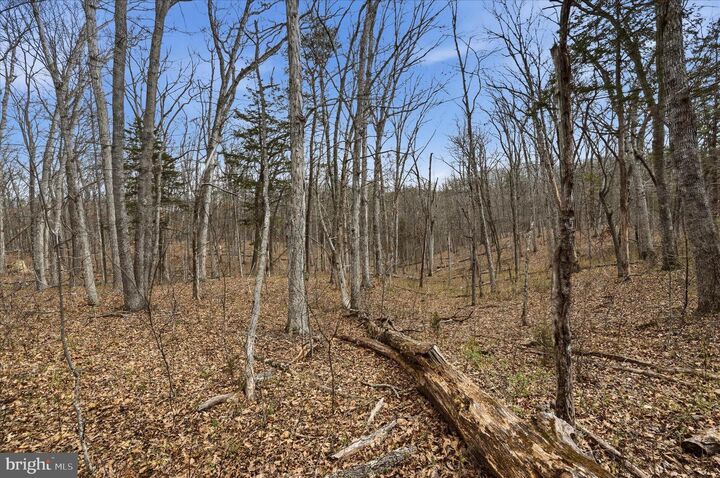 Property Photo:  Lot 3 Arapaho Lane  VA 22655 