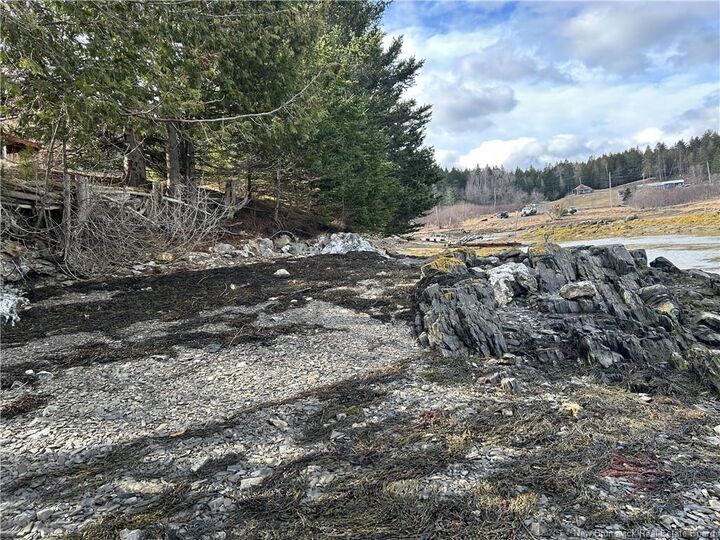 00 Leslie Harbour Lane — photo 1