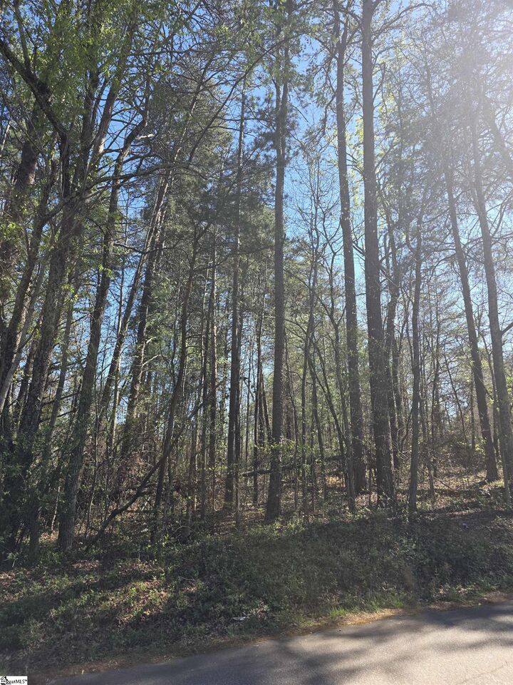 Property Photo:  102 Pine Drive  SC 29687 