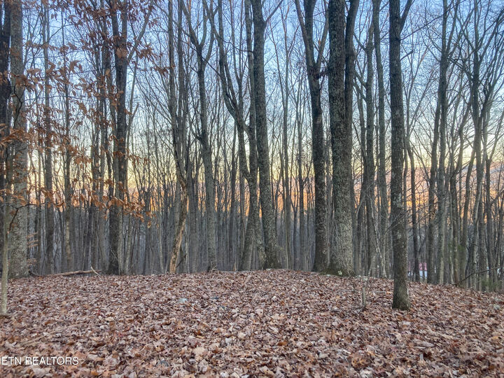 Property Photo:  Old Spencer Road - 100 Acres  TN 37367 