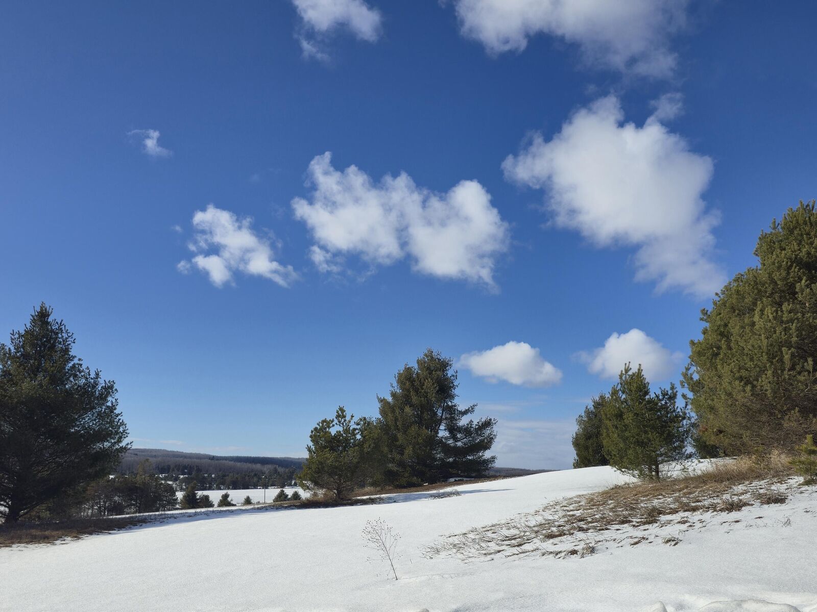 Property Photo:  5850 Deer Run Trail  MI 49740 