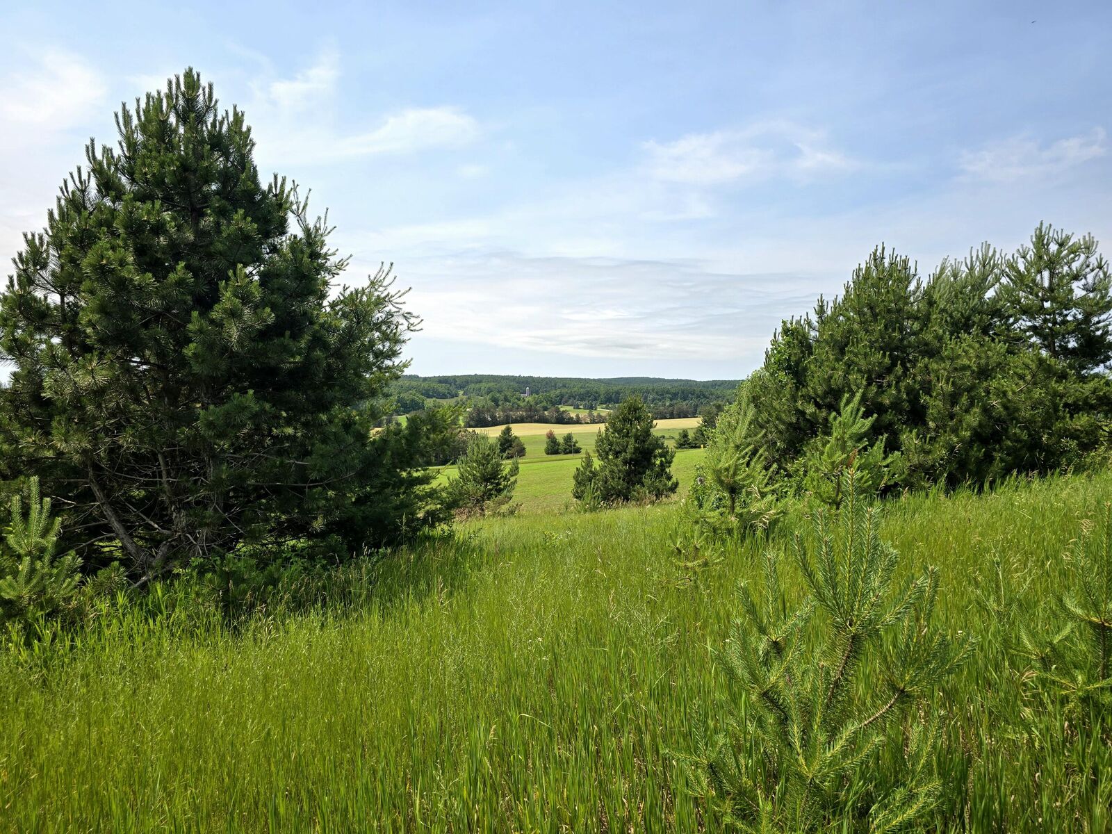 Property Photo:  5850 Deer Run Trail  MI 49740 