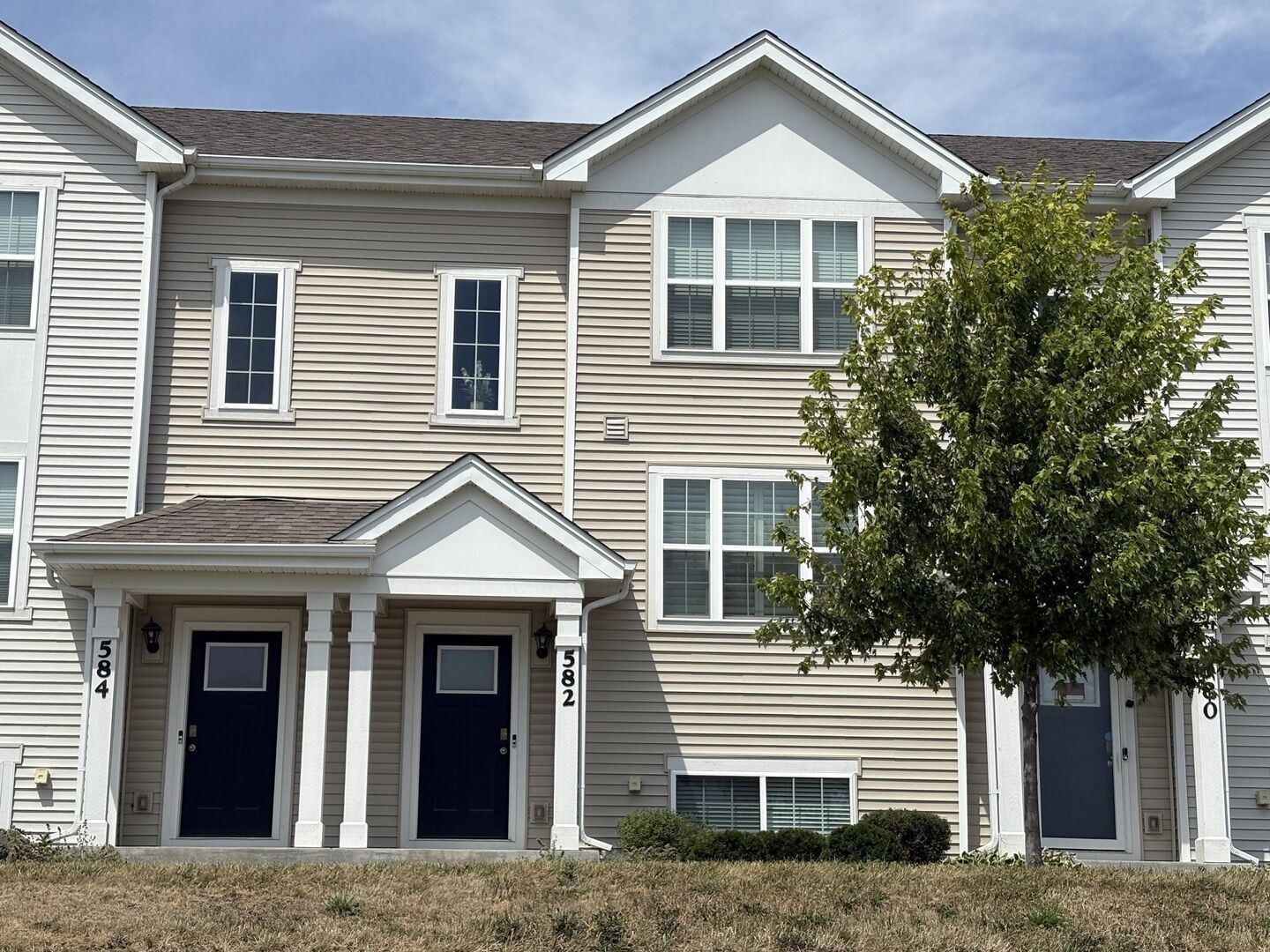 Property Photo: 582 Spring Leaf Drive IL 60431