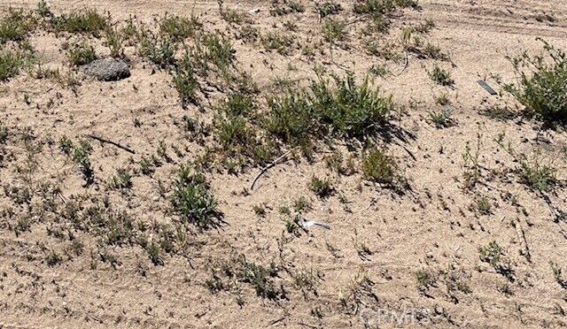 Property Photo:  0 Apn# 081-293-34-00-6  CA 93555 