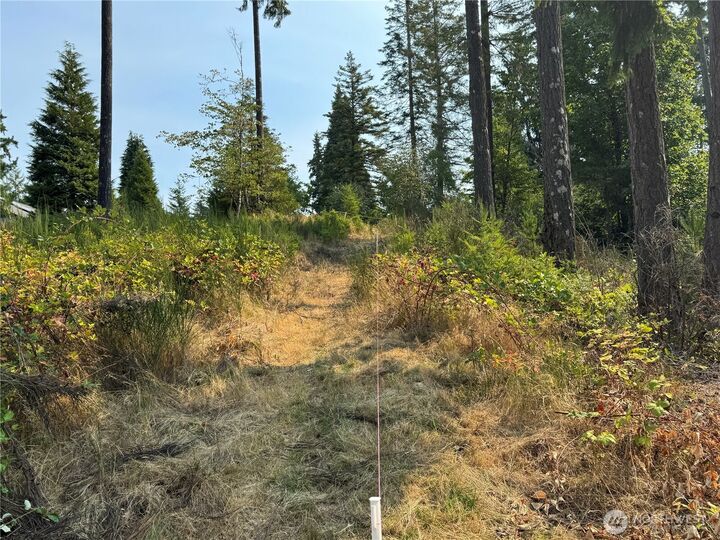 Property Photo: 0 E Tall Timber Lane WA 98584
