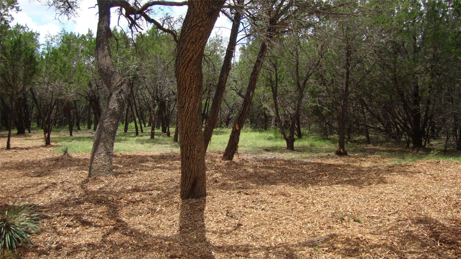 Property Photo:  36 Travis Oaks Drive  TX 78654 