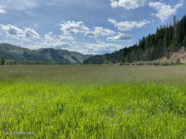 Property Photo:  Nka St Joe River Rd  ID 83861 