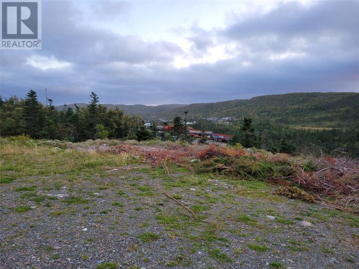 Property Photo:  285 Maddox Cove Road  NL A1B 2N5 