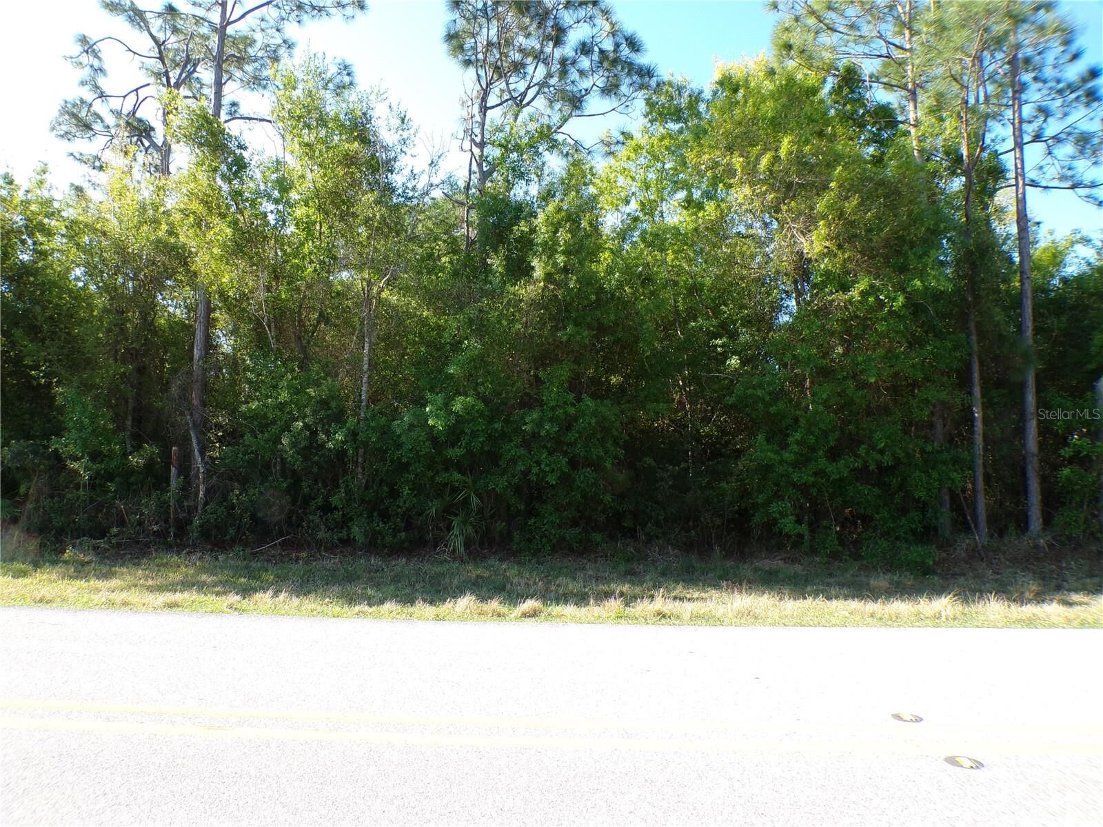 Property Photo:  25161 Aysen Drive  FL 33983 