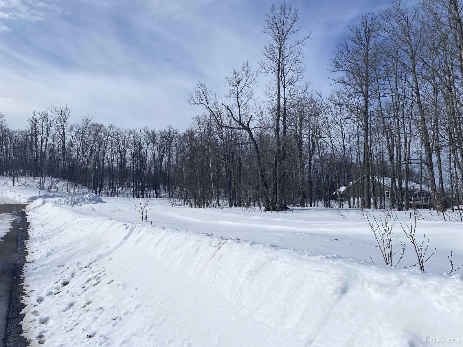 Property Photo: Tbd Lot 28 S Whealkate Drive MI 49963