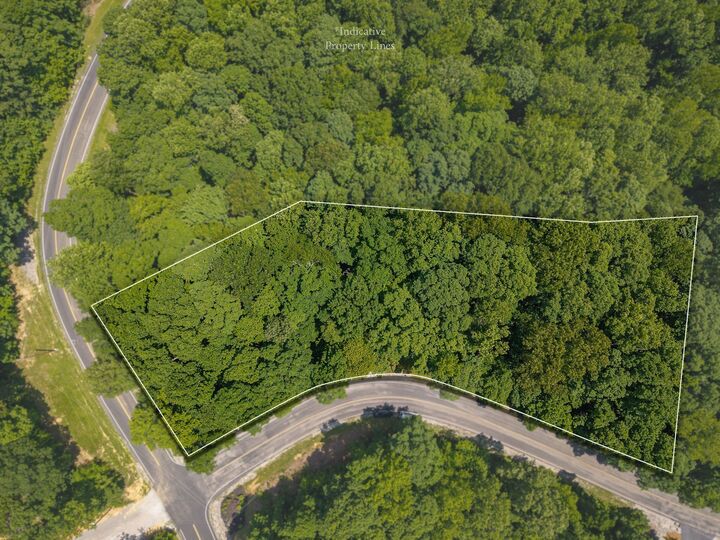 Property Photo:  0 Sunset Pointe  TN 38583 