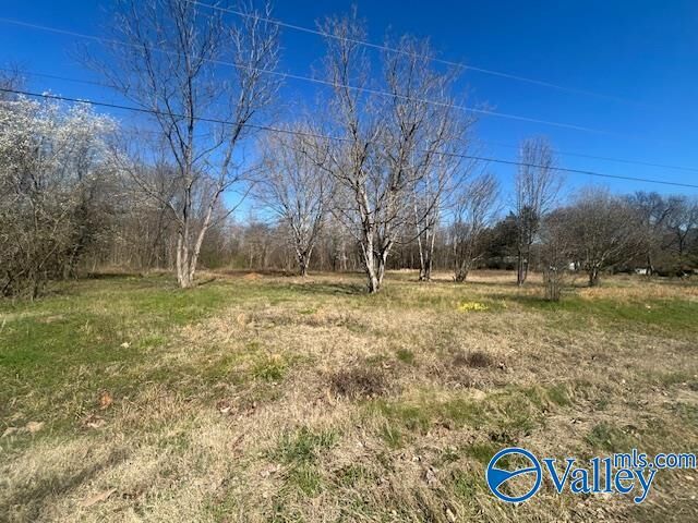 Property Photo: 125 Riverdale Drive AL 35754