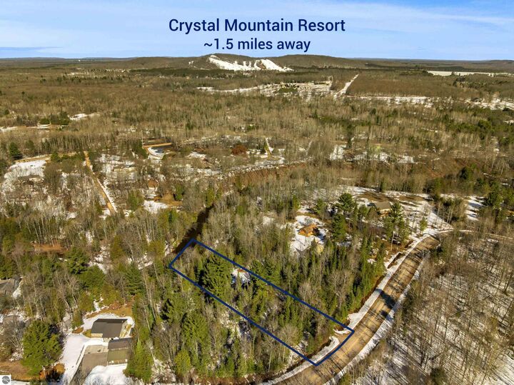 Property Photo:  15750 Betsie River Drive  MI 49683 