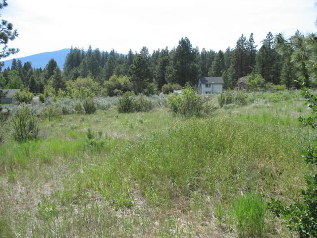 Property Photo:  Irving Way Lot 3  OR 97624 