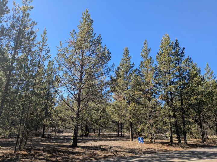 Property Photo:  15961 Wright Avenue  OR 97739 