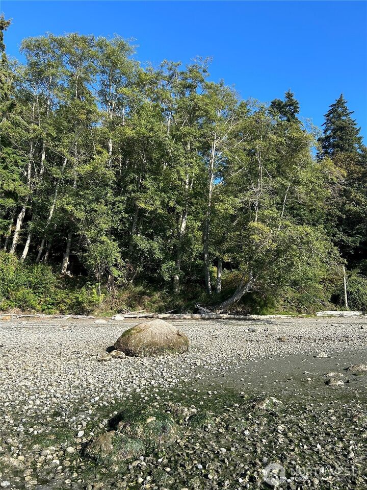 Property Photo: 111 Seven Sisters Beach WA 98358