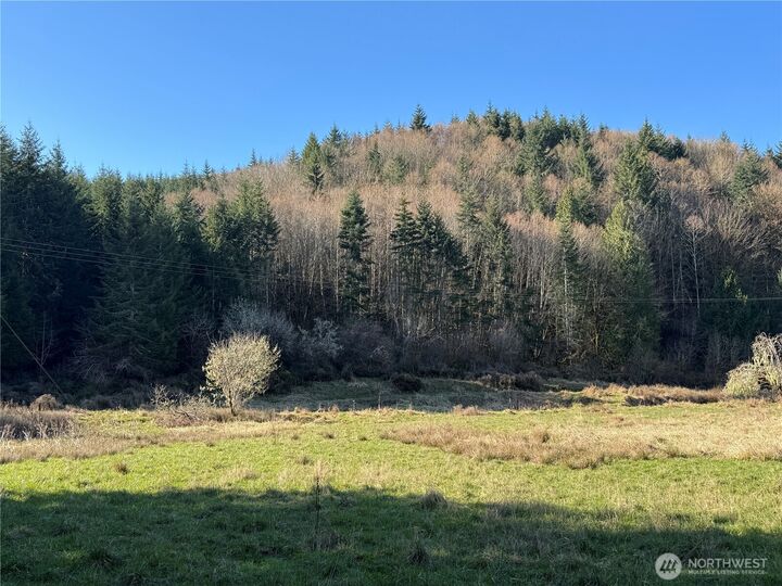 Property Photo: 0 Xxx Harkum Road WA 98532