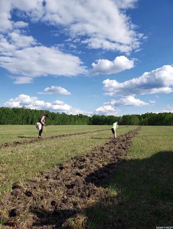 Property Photo:  Rural Address  SK S9X 1Y7 