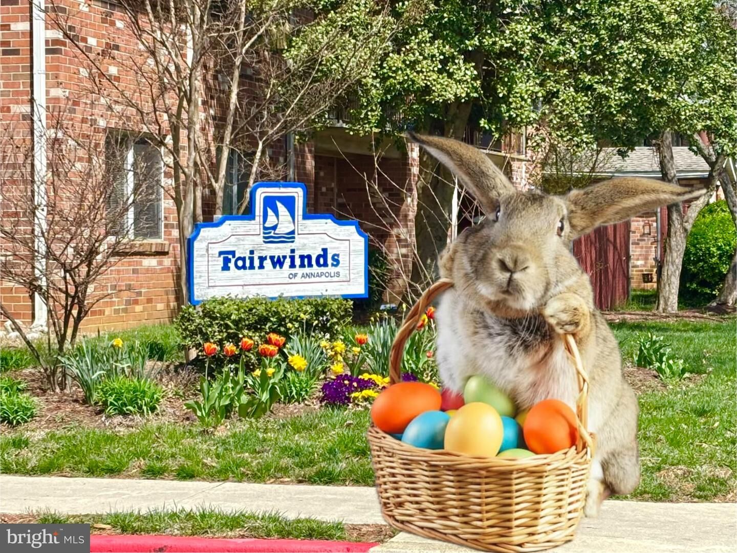 Property Photo:  203 Victor Parkway H  MD 21403 