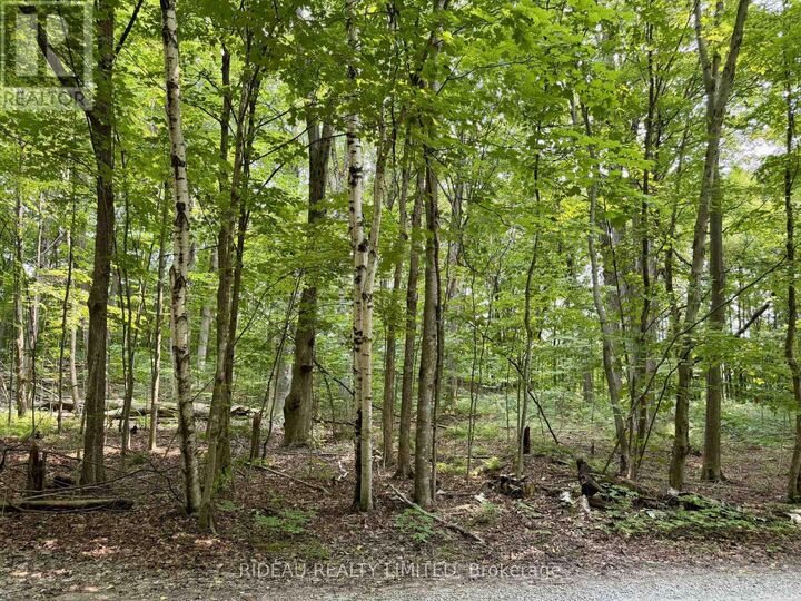 Pt 38 Cedar Sands Road — photo 1