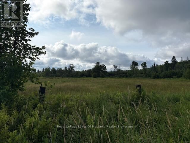 0 Old Muskoka To The West Side Of #1105 Road — photo 1