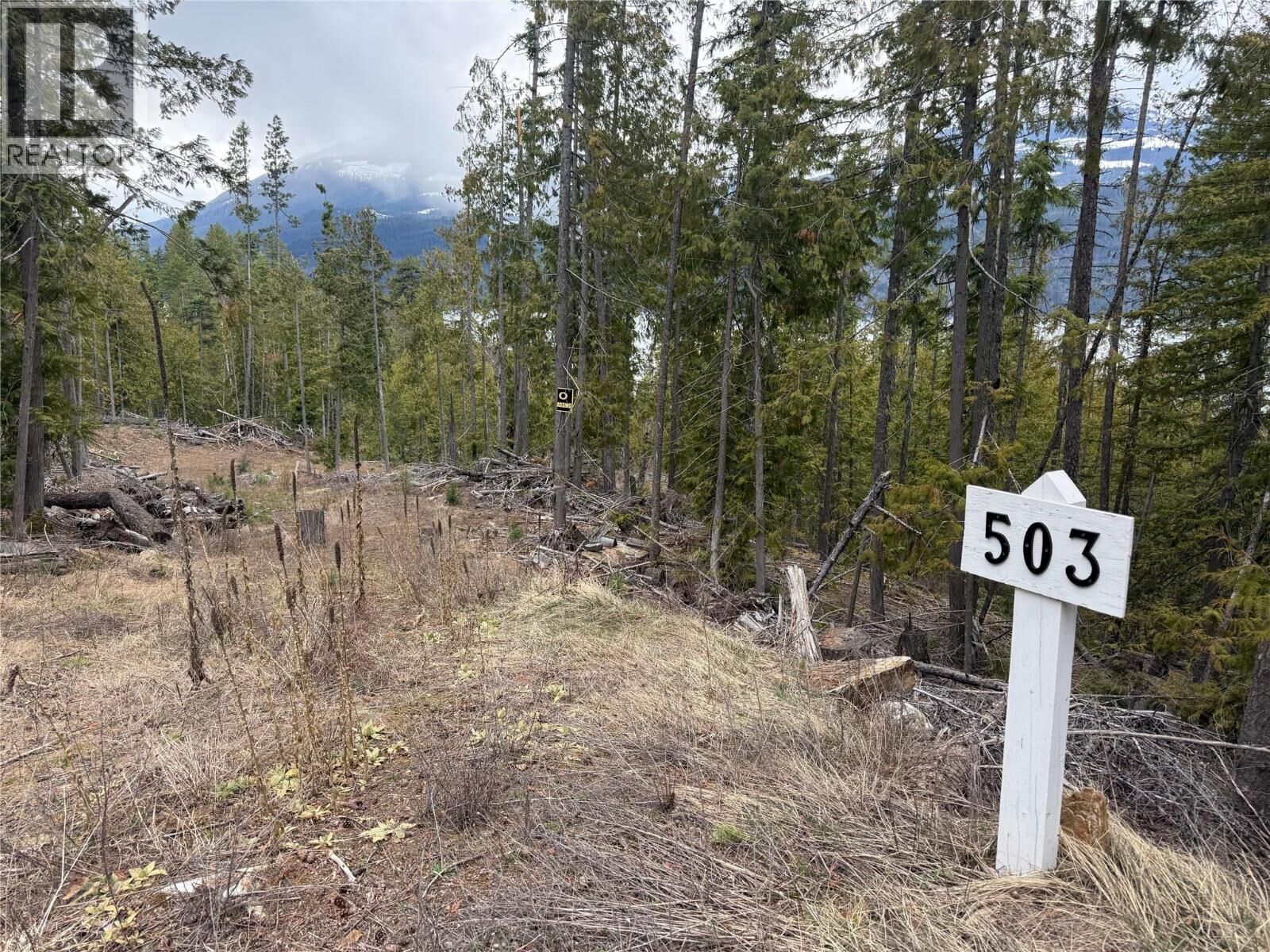 Property Photo:  503 Riondel Road  BC V0B 2B0 