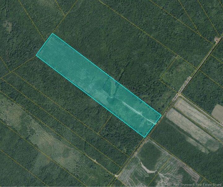 00 Woodlot Chemin Saint-Irenee — photo 1