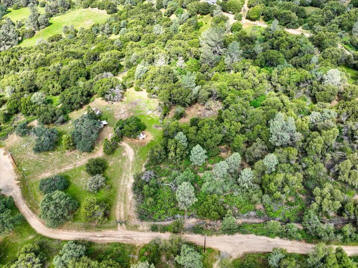 Property Photo:  53899 Dogwood Drive  CA 93643 