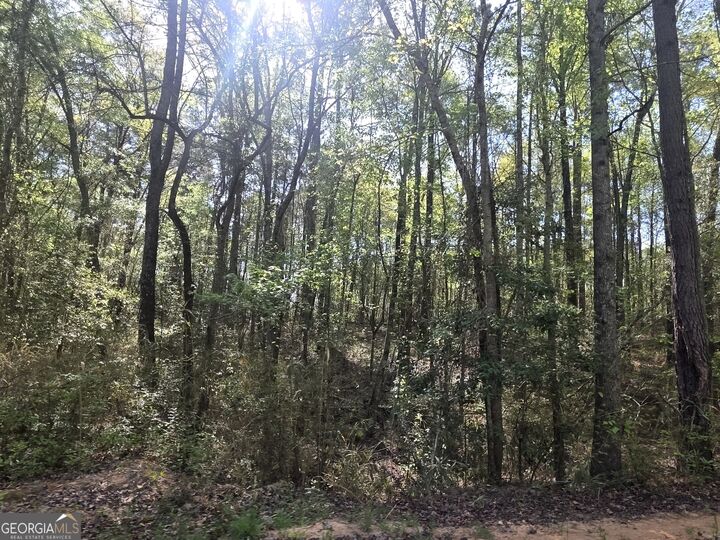 Property Photo:  Tract A Ga Highway 102  GA 30820 