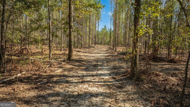 Property Photo:  0 Livingston Road SW  GA 30161 