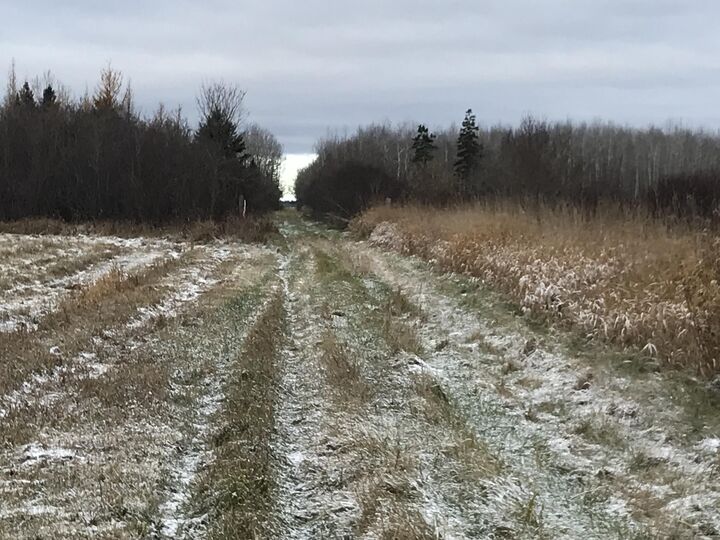 Property Photo:  000 W M-48  MI 49780 