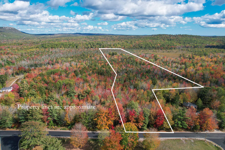 Property Photo:  535 Bert Gray Road  ME 04664 