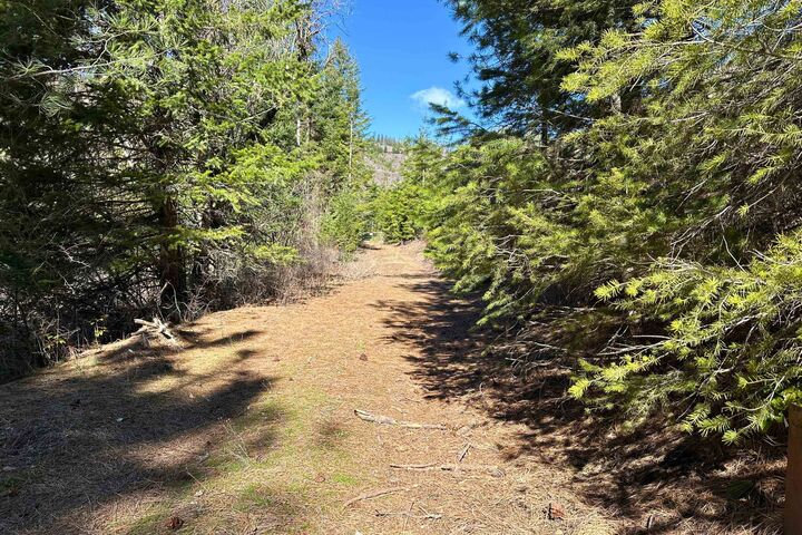Property Photo:  4143 North Deer Lake Rd  WA 99148 