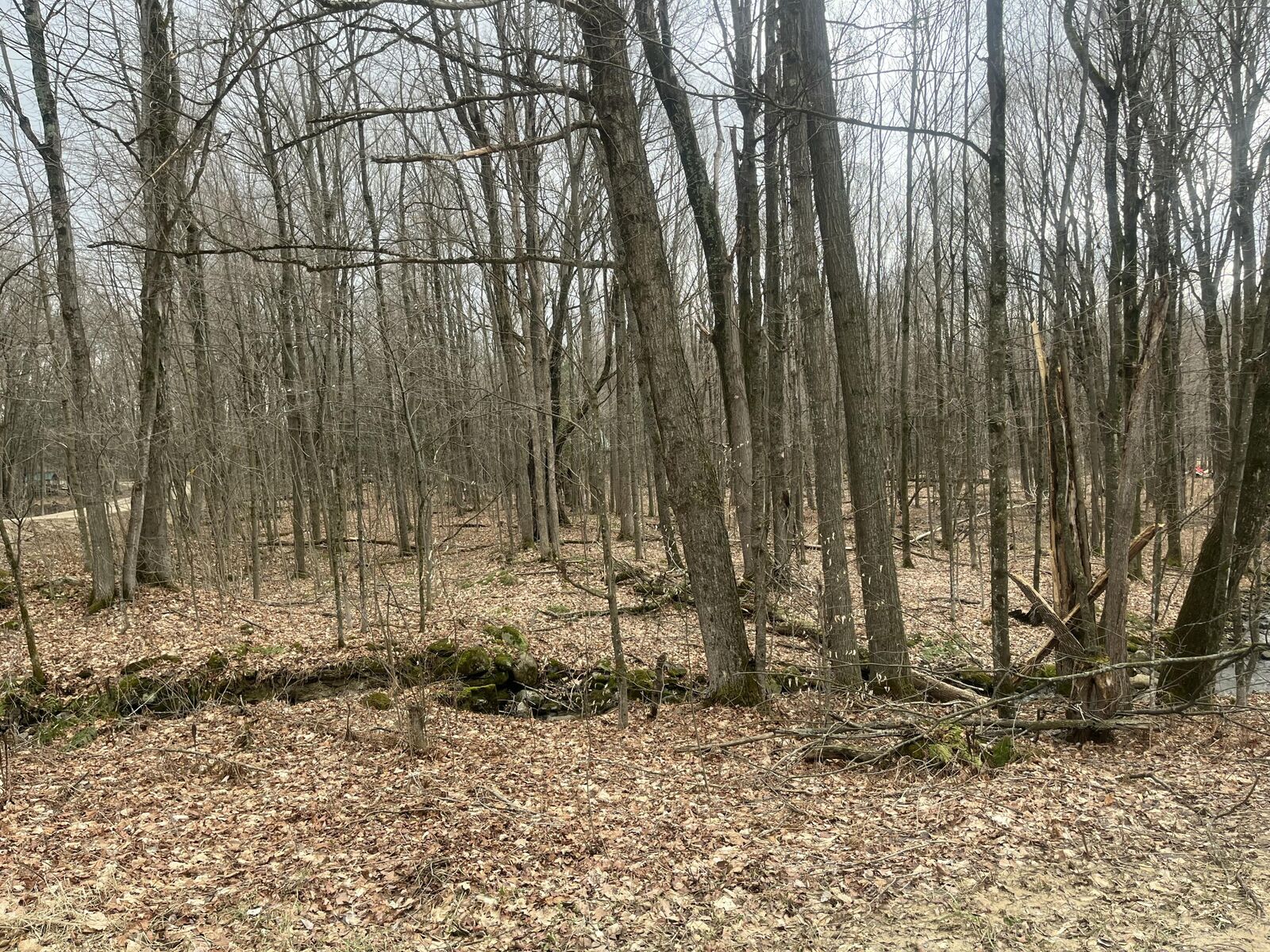 Property Photo:  000 Sam Cook Road  NY 12920 