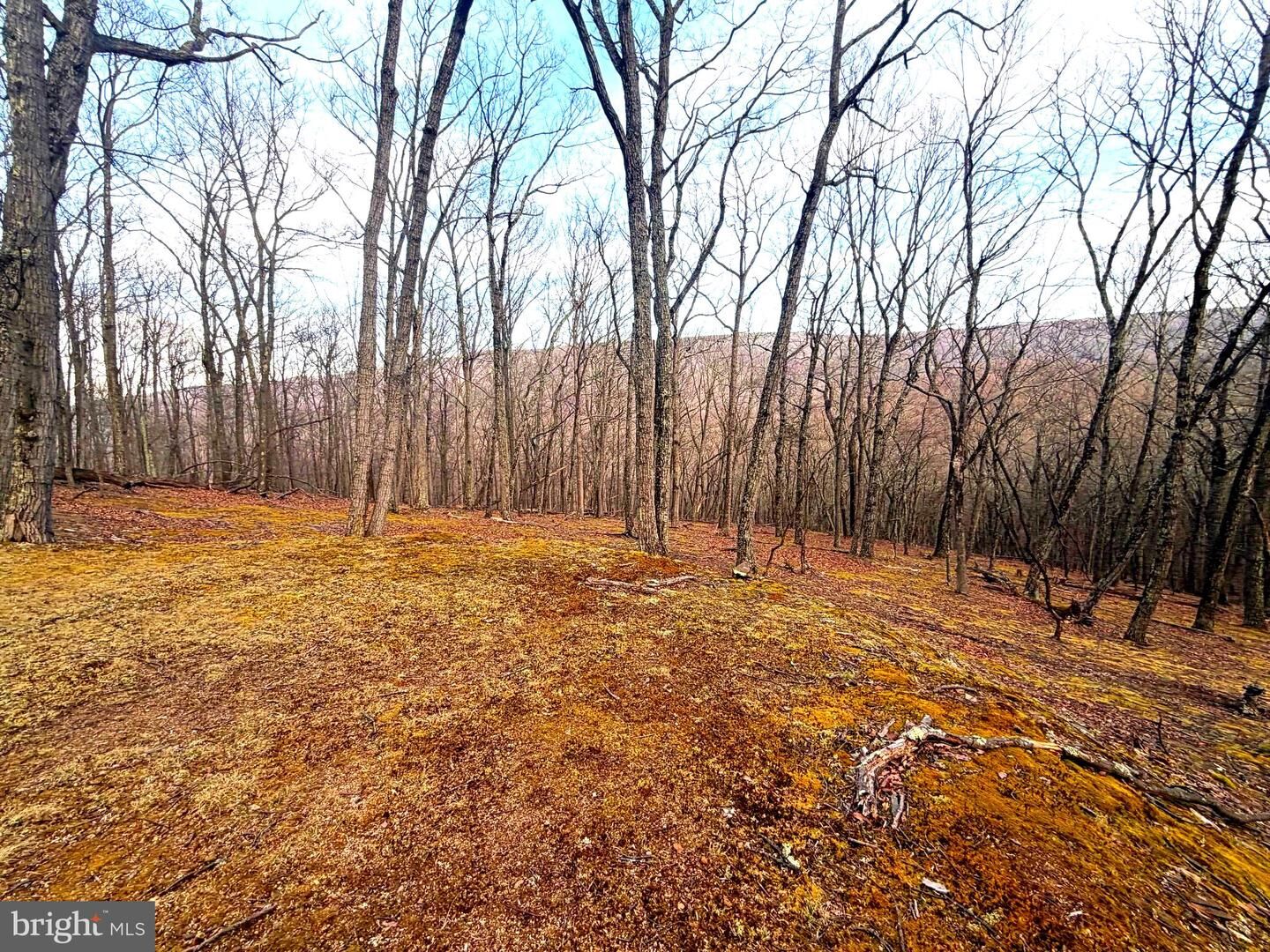 Property Photo:  Lot 5 Preserve Road  WV 26833 